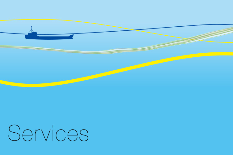 Services